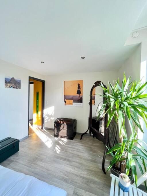 Le Grenier A Sel - Reims Apartment Екстериор снимка